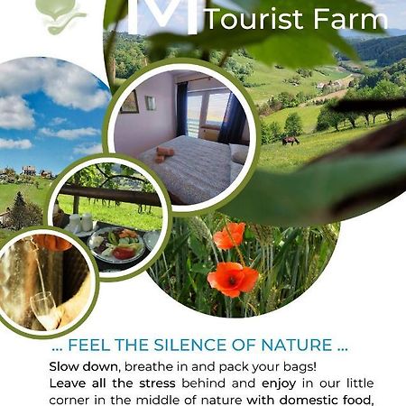 فيلا Masnec Tourist Farm Miljana المظهر الخارجي الصورة